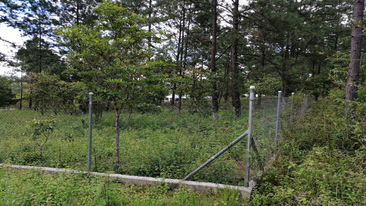 Propiedad V001 (Terreno Rural) - Aldea Buenas Casas, Siguatepeque