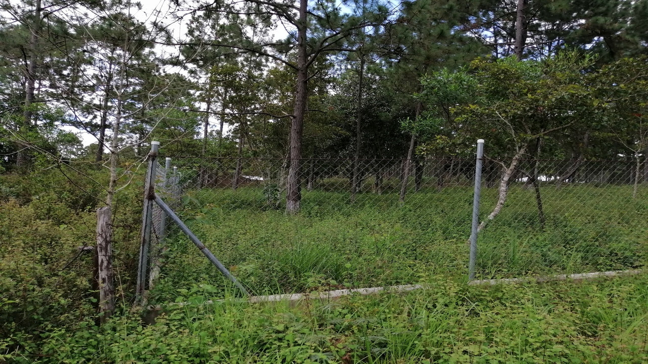Propiedad V001 (Terreno Rural) - Aldea Buenas Casas, Siguatepeque