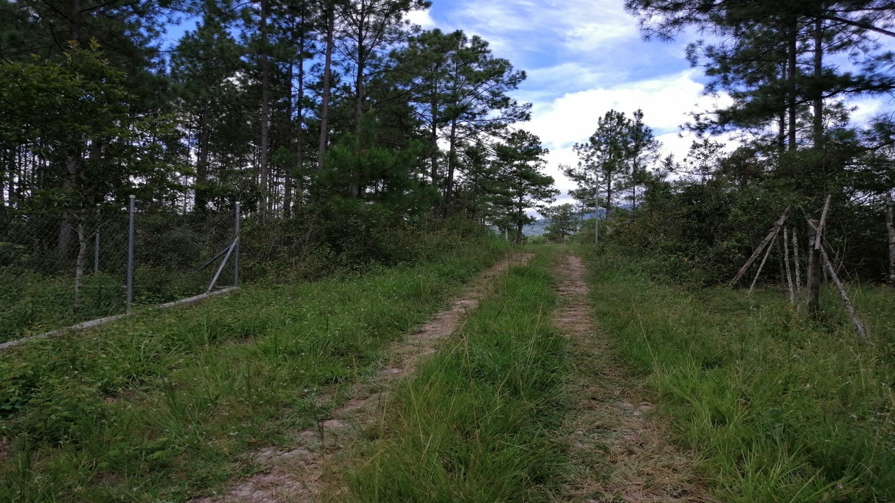 Propiedad V001 (Terreno Rural) - Aldea Buenas Casas, Siguatepeque