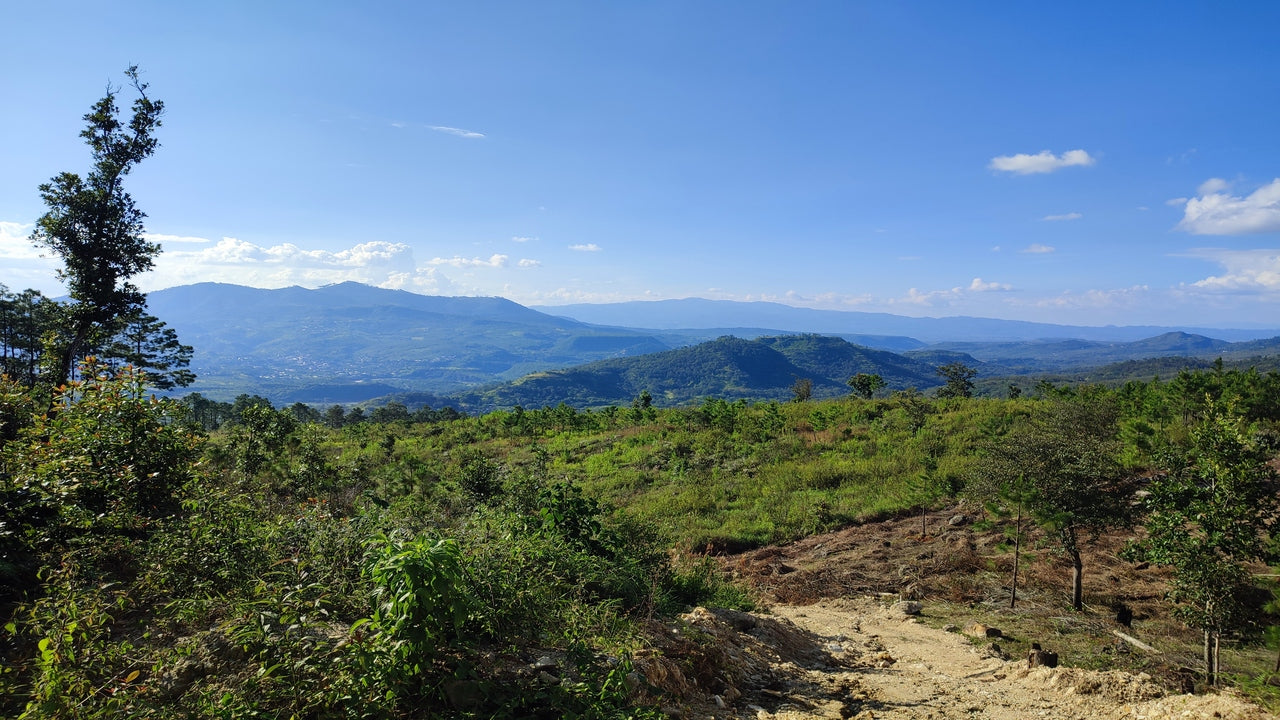 Propiedad V011 (Terreno Urbano) - Residencial Miralago (El Hatillo), Tegucigalpa