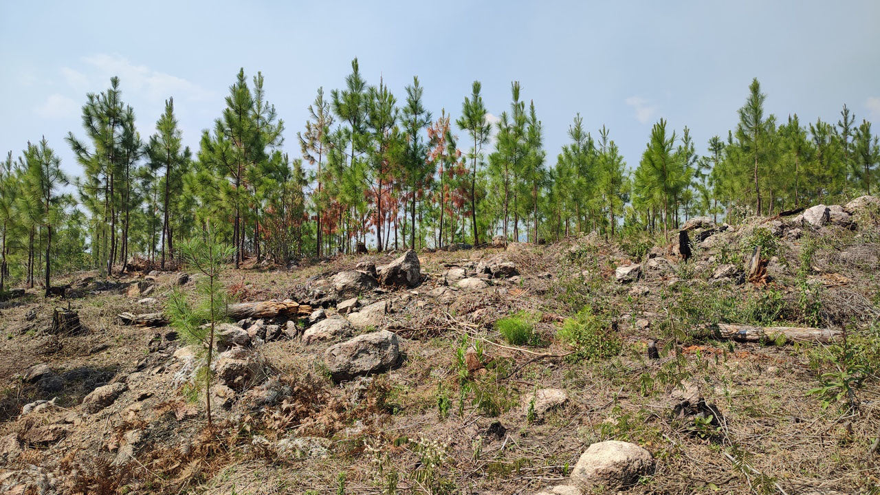 Propiedad V024 (Terreno Urbano) - Residencial Miralago (El Hatillo), Tegucigalpa