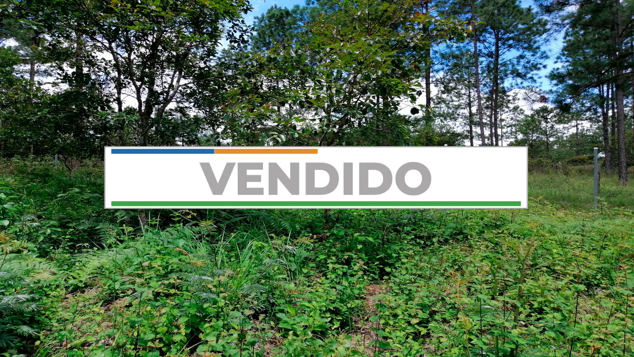 Propiedad V001 (Terreno Rural) - Aldea Buenas Casas, Siguatepeque