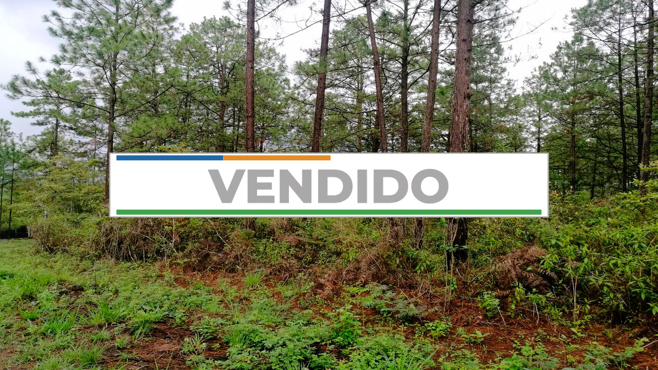 Propiedad V013 (Terreno Rural) - Aldea Buenas Casas, Siguatepeque