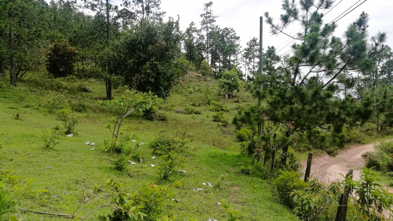 Propiedad V008 (Terreno Rural) - Cerro Grande, Valle de Ángeles
