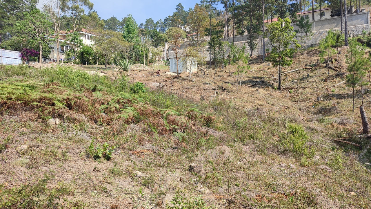 Propiedad V024 (Terreno Urbano) - Residencial Miralago (El Hatillo), Tegucigalpa