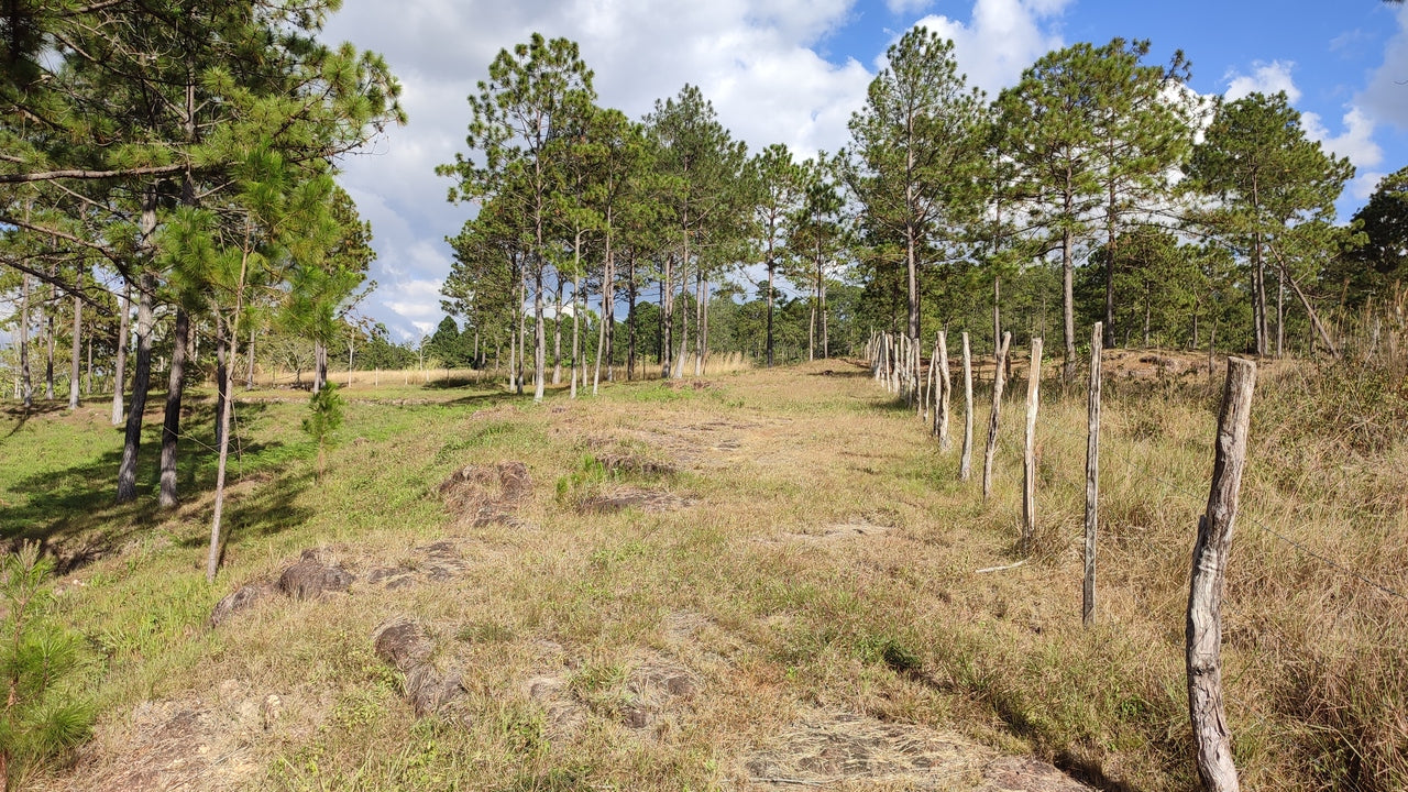 Propiedad V019 (Terreno Rural) - Aldea Buenas Casas, Siguatepeque
