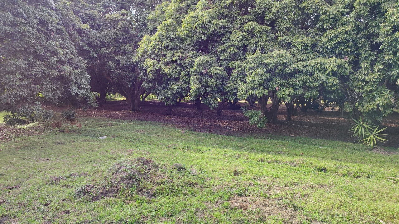 Propiedad V017 (Terreno Rural) - Siguatepeque (Ciudad), Comayagua.