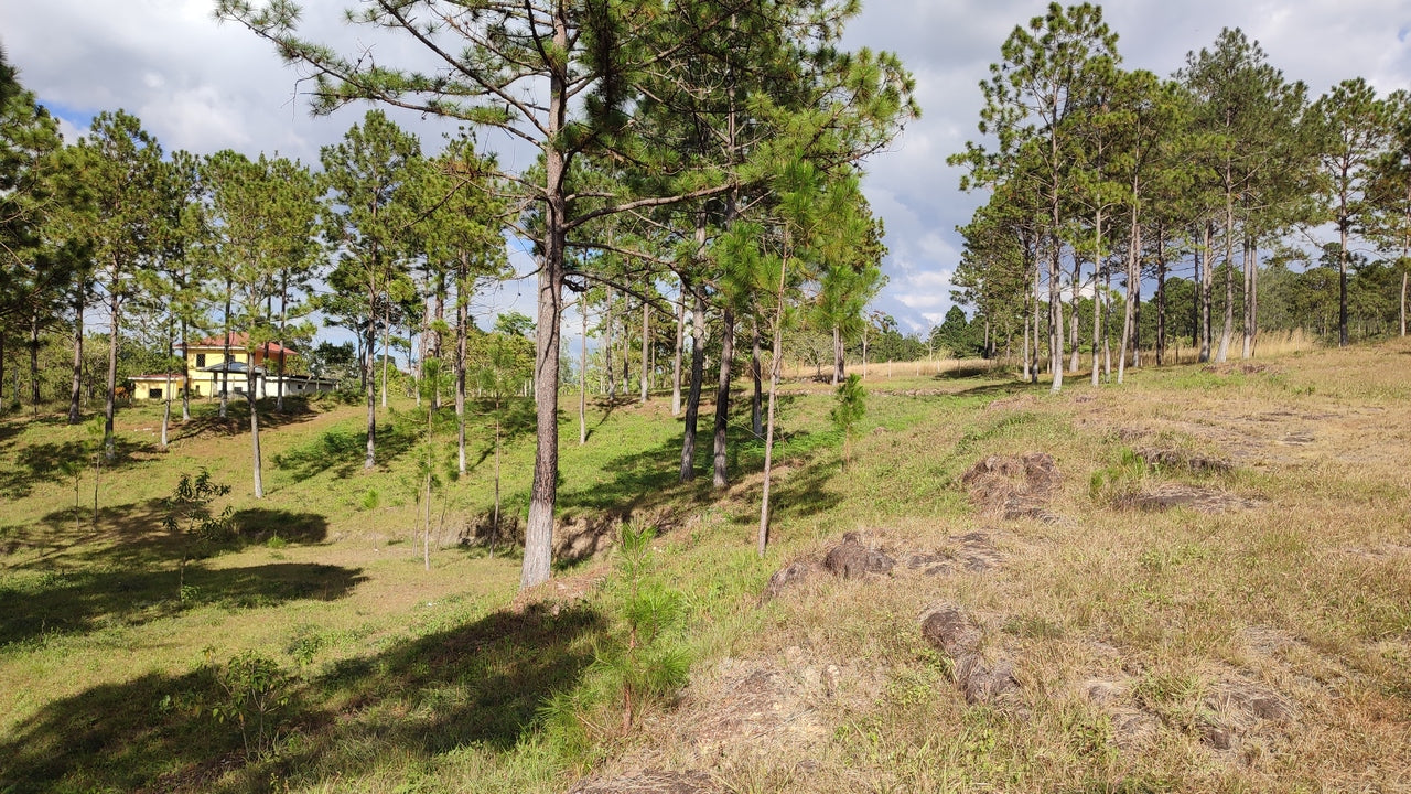 Propiedad V019 (Terreno Rural) - Aldea Buenas Casas, Siguatepeque