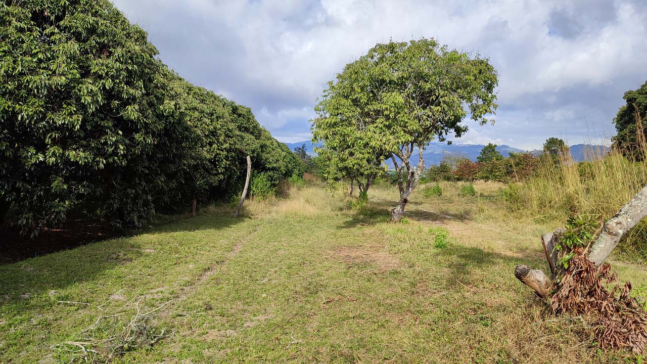 Propiedad V017 (Terreno Rural) - Siguatepeque (Ciudad), Comayagua.