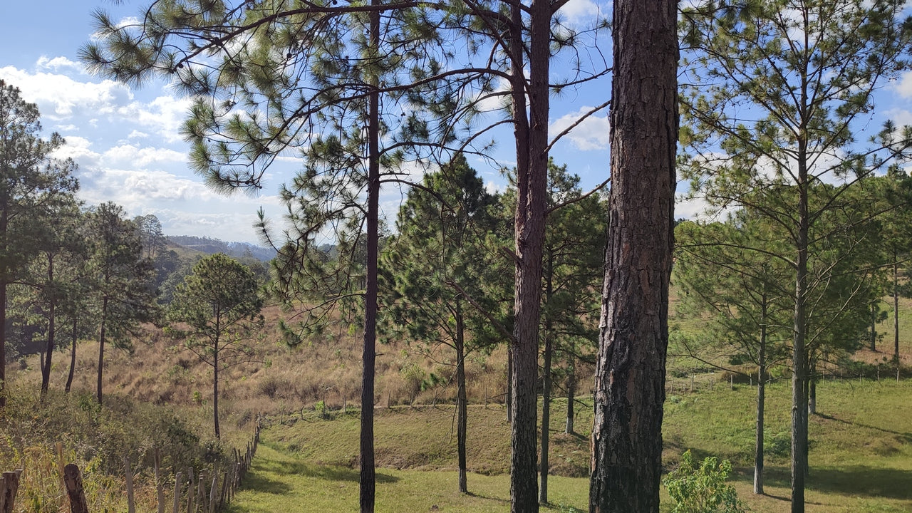 Propiedad V019 (Terreno Rural) - Aldea Buenas Casas, Siguatepeque