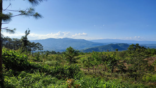 Propiedad V011 (Terreno Urbano) - Residencial Miralago (El Hatillo), Tegucigalpa