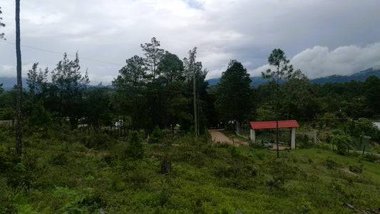 Propiedad V006 (Terreno Rural) - Cerro Grande, Valle de Ángeles