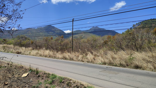 Propiedad V022 (Terreno Rural) - Valle de El Zamorano, Francisco Morazán