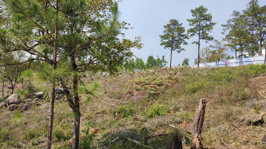 Propiedad V024 (Terreno Urbano) - Residencial Miralago (El Hatillo), Tegucigalpa