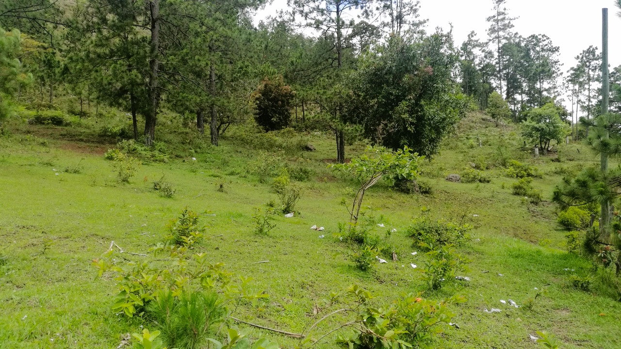 Propiedad V008 (Terreno Rural) - Cerro Grande, Valle de Ángeles