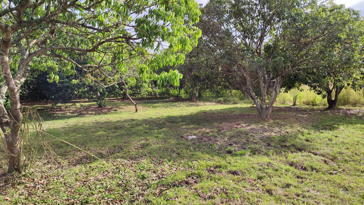 Propiedad V017 (Terreno Rural) - Siguatepeque (Ciudad), Comayagua.