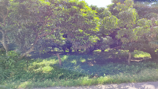 Propiedad V015 (Terreno Rural) - Valle de El Zamorano, Francisco Morazán