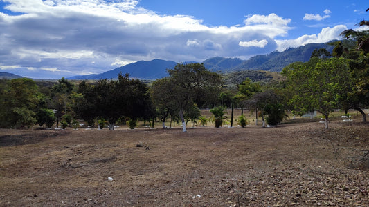 Propiedad V016 (Terreno Rural) - Valle de El Zamorano, Francisco Morazán