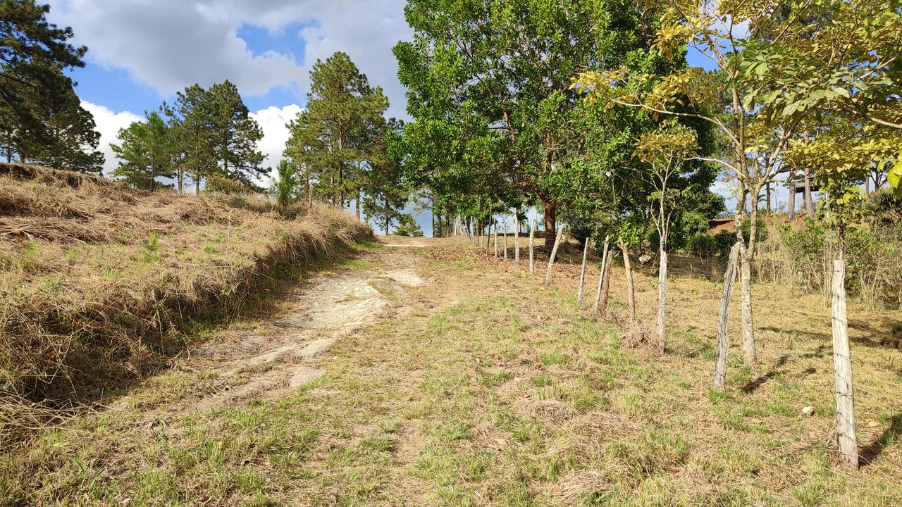 Propiedad V019 (Terreno Rural) - Aldea Buenas Casas, Siguatepeque