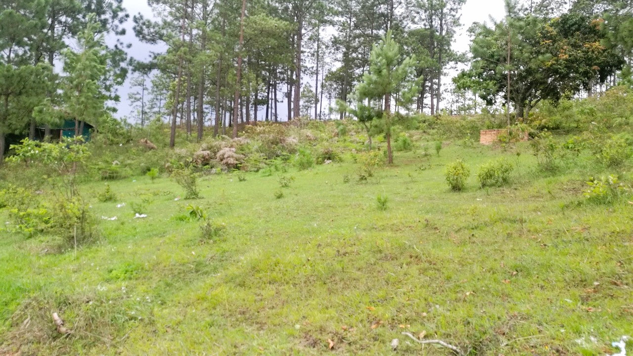 Propiedad V008 (Terreno Rural) - Cerro Grande, Valle de Ángeles