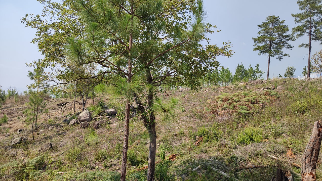 Propiedad V024 (Terreno Urbano) - Residencial Miralago (El Hatillo), Tegucigalpa