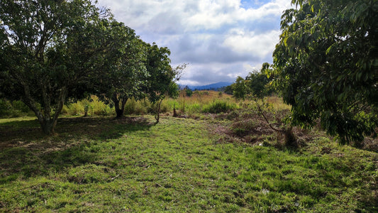 Propiedad V017 (Terreno Rural) - Siguatepeque (Ciudad), Comayagua.
