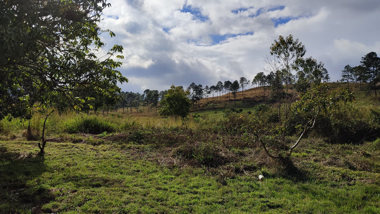 Propiedad V017 (Terreno Rural) - Siguatepeque (Ciudad), Comayagua.