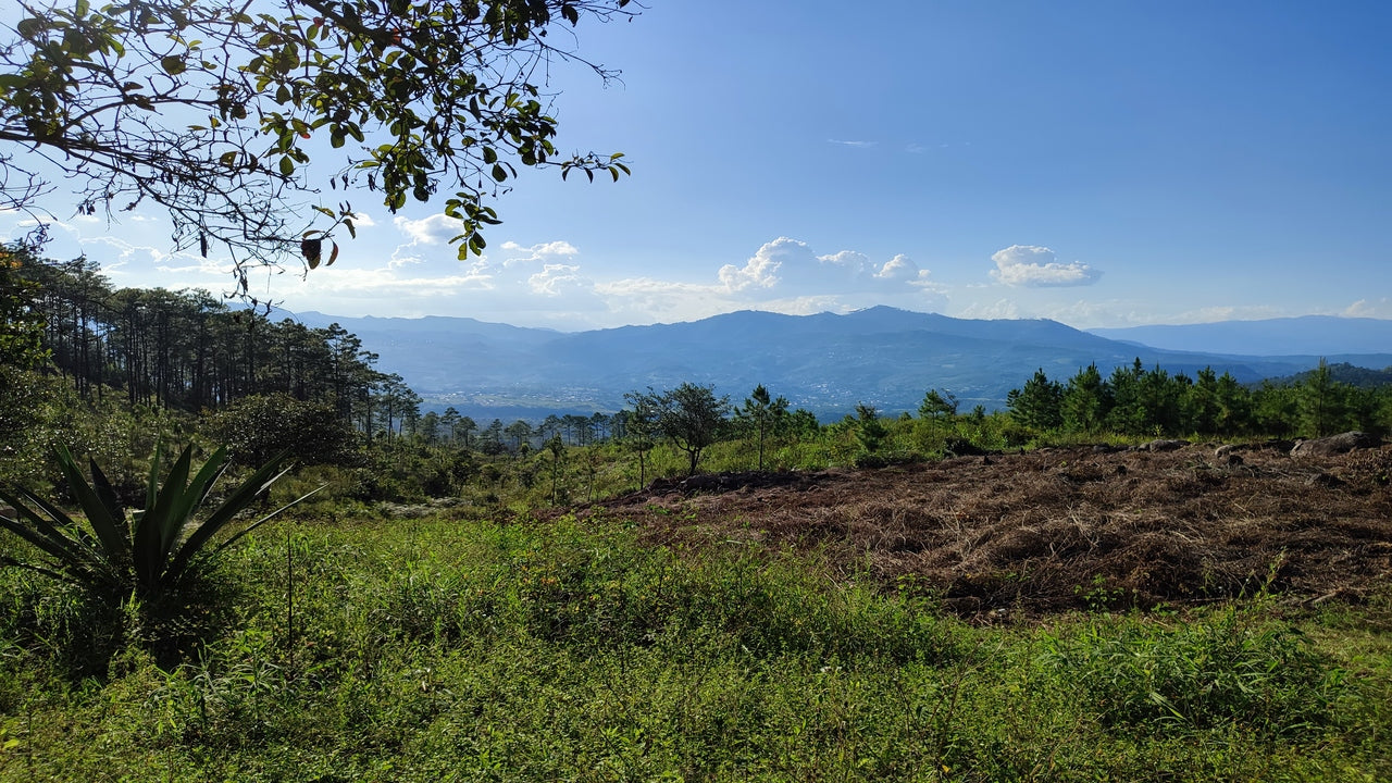Propiedad V011 (Terreno Urbano) - Residencial Miralago (El Hatillo), Tegucigalpa