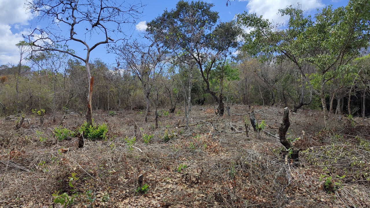 Propiedad V022 (Terreno Rural) - Valle de El Zamorano, Francisco Morazán