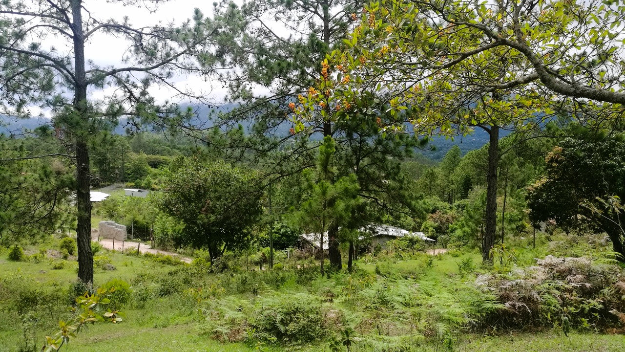 Propiedad V008 (Terreno Rural) - Cerro Grande, Valle de Ángeles
