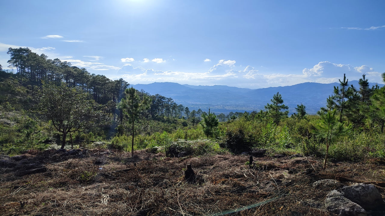 Propiedad V011 (Terreno Urbano) - Residencial Miralago (El Hatillo), Tegucigalpa