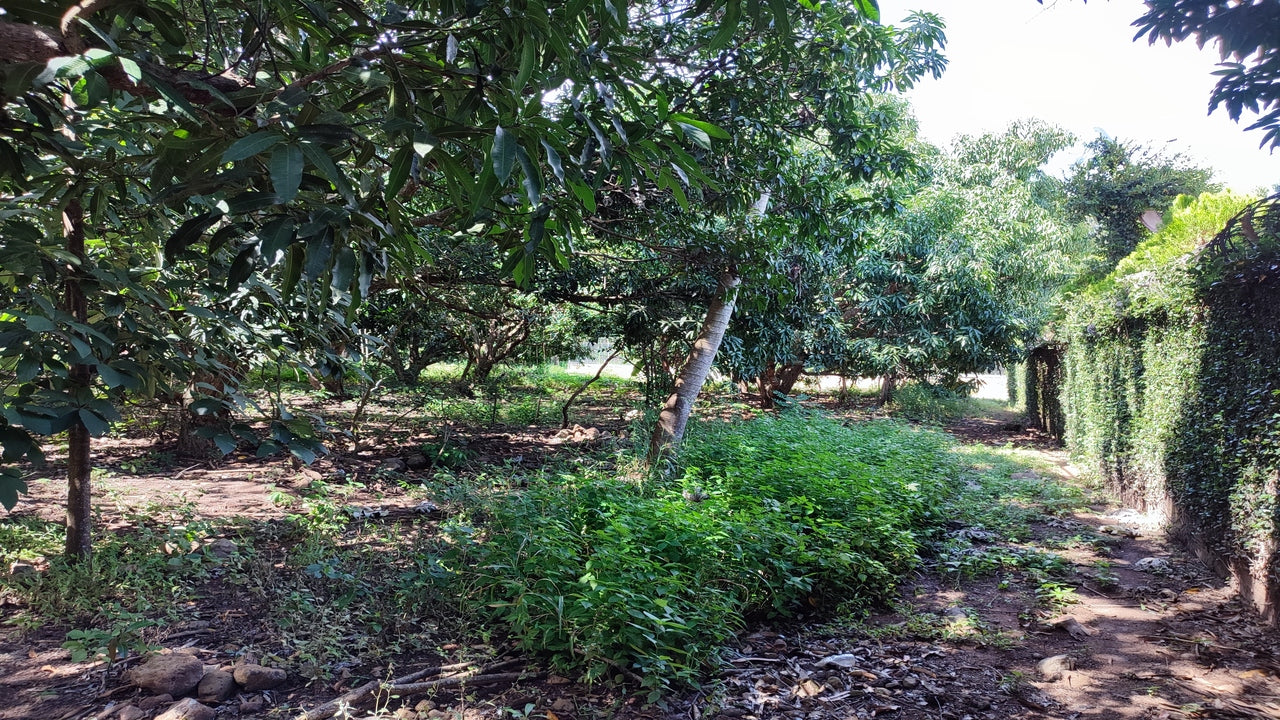Propiedad V015 (Terreno Rural) - Valle de El Zamorano, Francisco Morazán