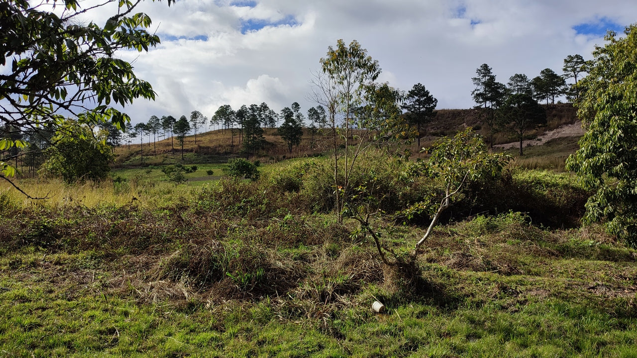 Propiedad V017 (Terreno Rural) - Siguatepeque (Ciudad), Comayagua.