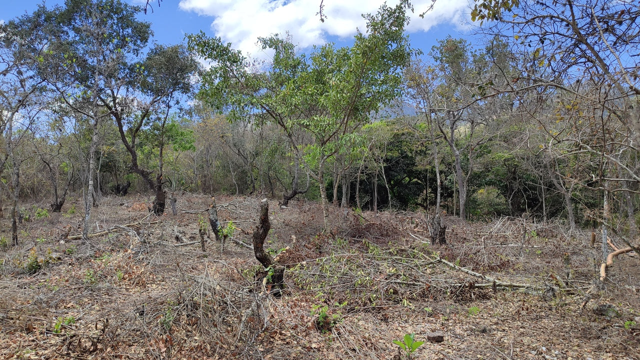 Propiedad V022 (Terreno Rural) - Valle de El Zamorano, Francisco Morazán