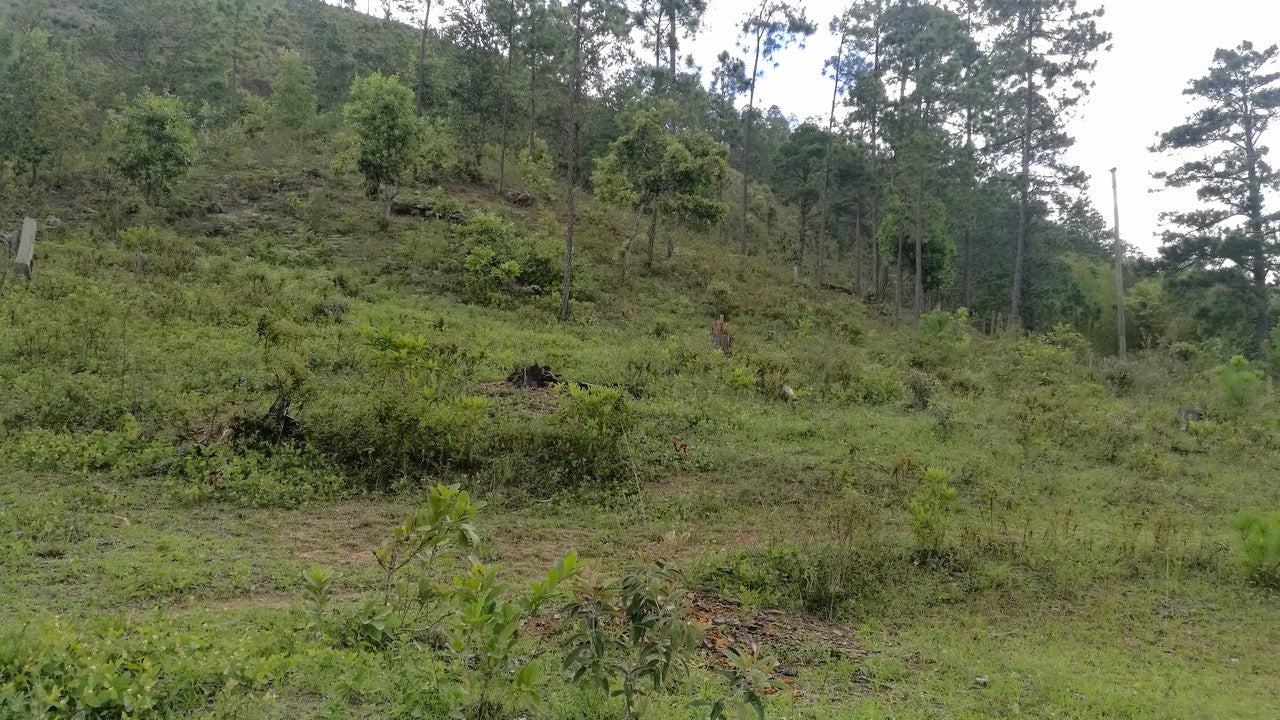 Propiedad V006 (Terreno Rural) - Cerro Grande, Valle de Ángeles