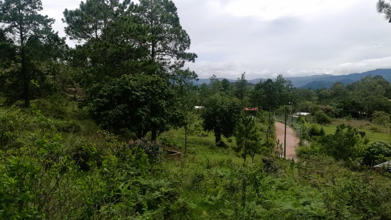 Propiedad V008 (Terreno Rural) - Cerro Grande, Valle de Ángeles