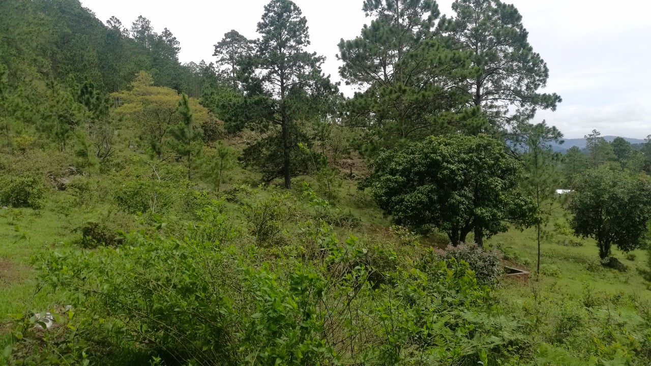 Propiedad V008 (Terreno Rural) - Cerro Grande, Valle de Ángeles