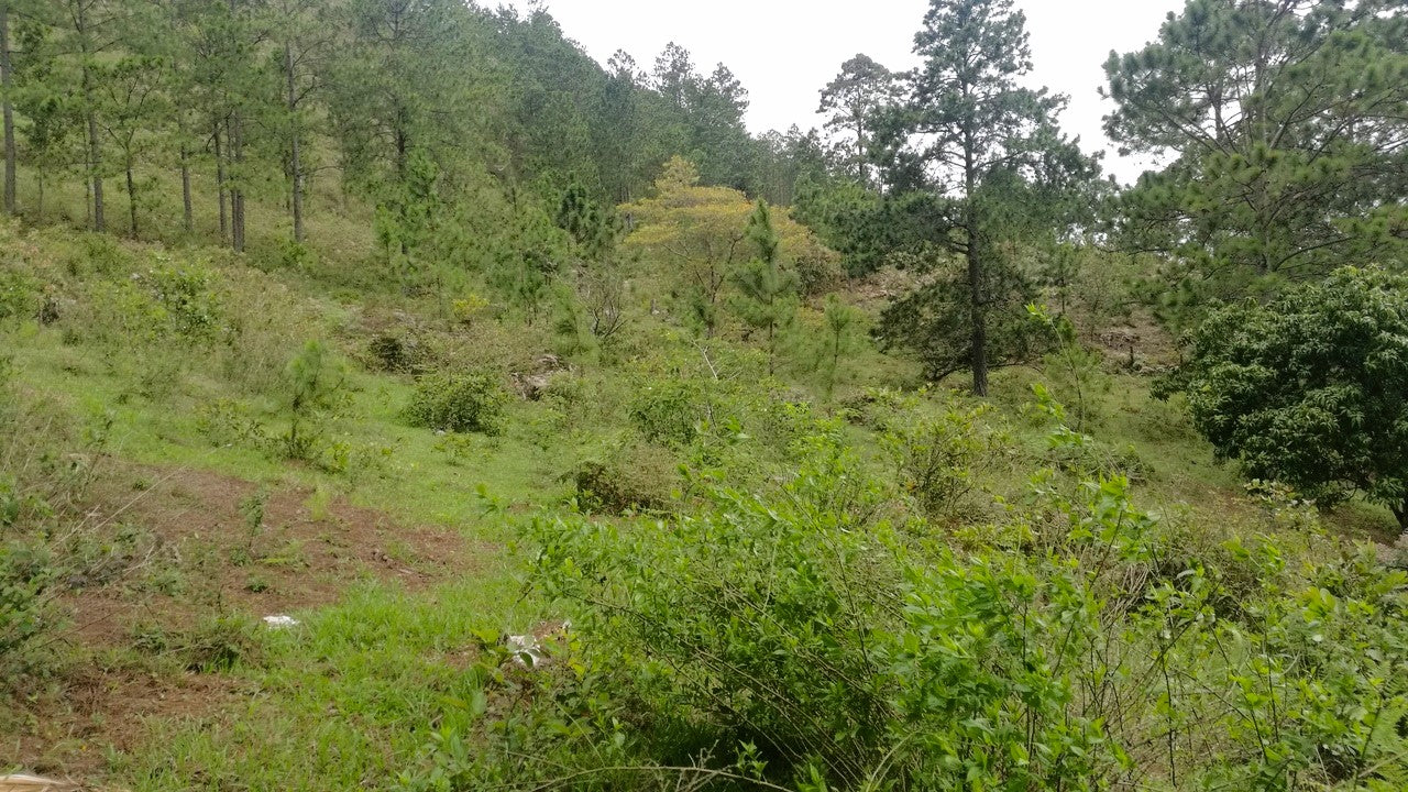 Propiedad V008 (Terreno Rural) - Cerro Grande, Valle de Ángeles