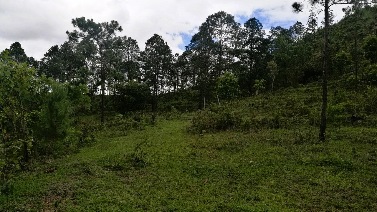 Propiedad V006 (Terreno Rural) - Cerro Grande, Valle de Ángeles