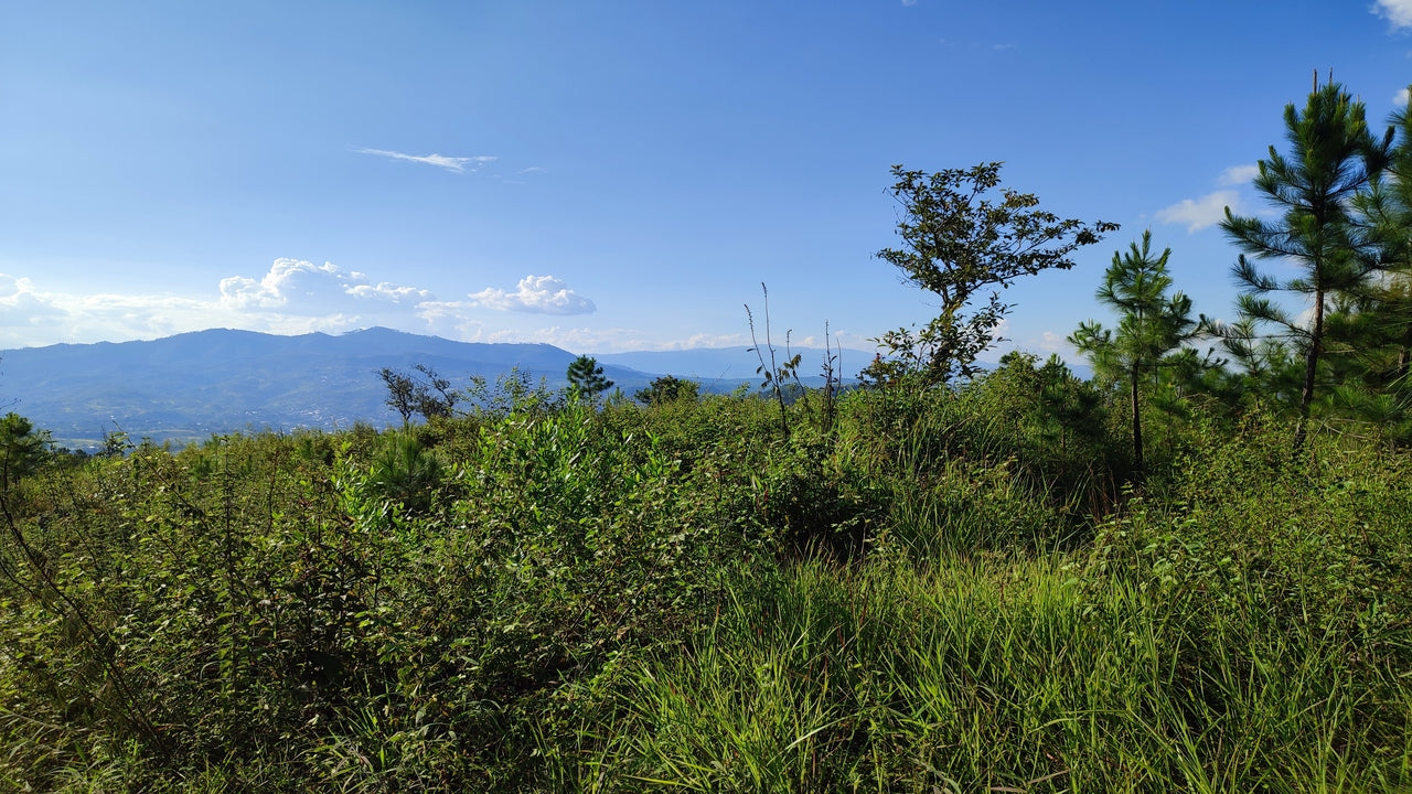 Propiedad V011 (Terreno Urbano) - Residencial Miralago (El Hatillo), Tegucigalpa