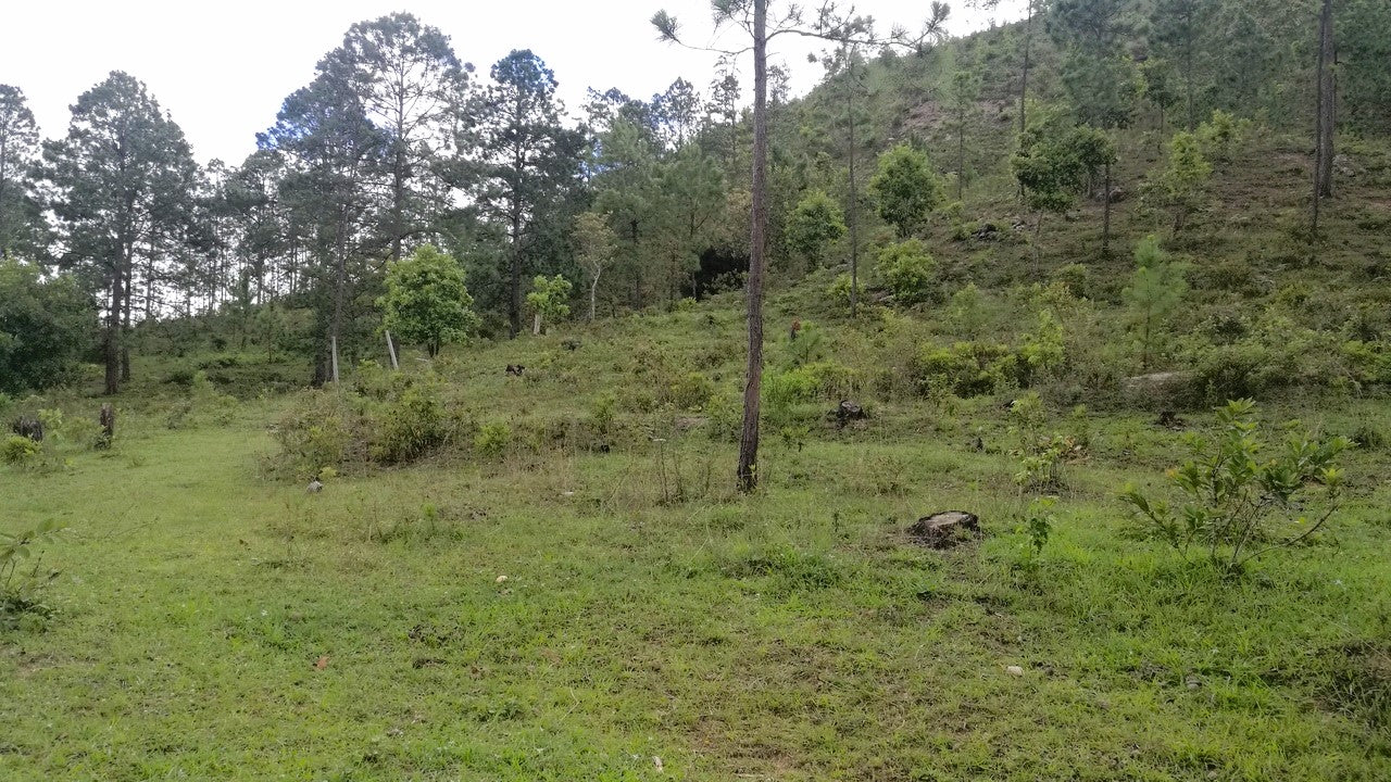Propiedad V006 (Terreno Rural) - Cerro Grande, Valle de Ángeles