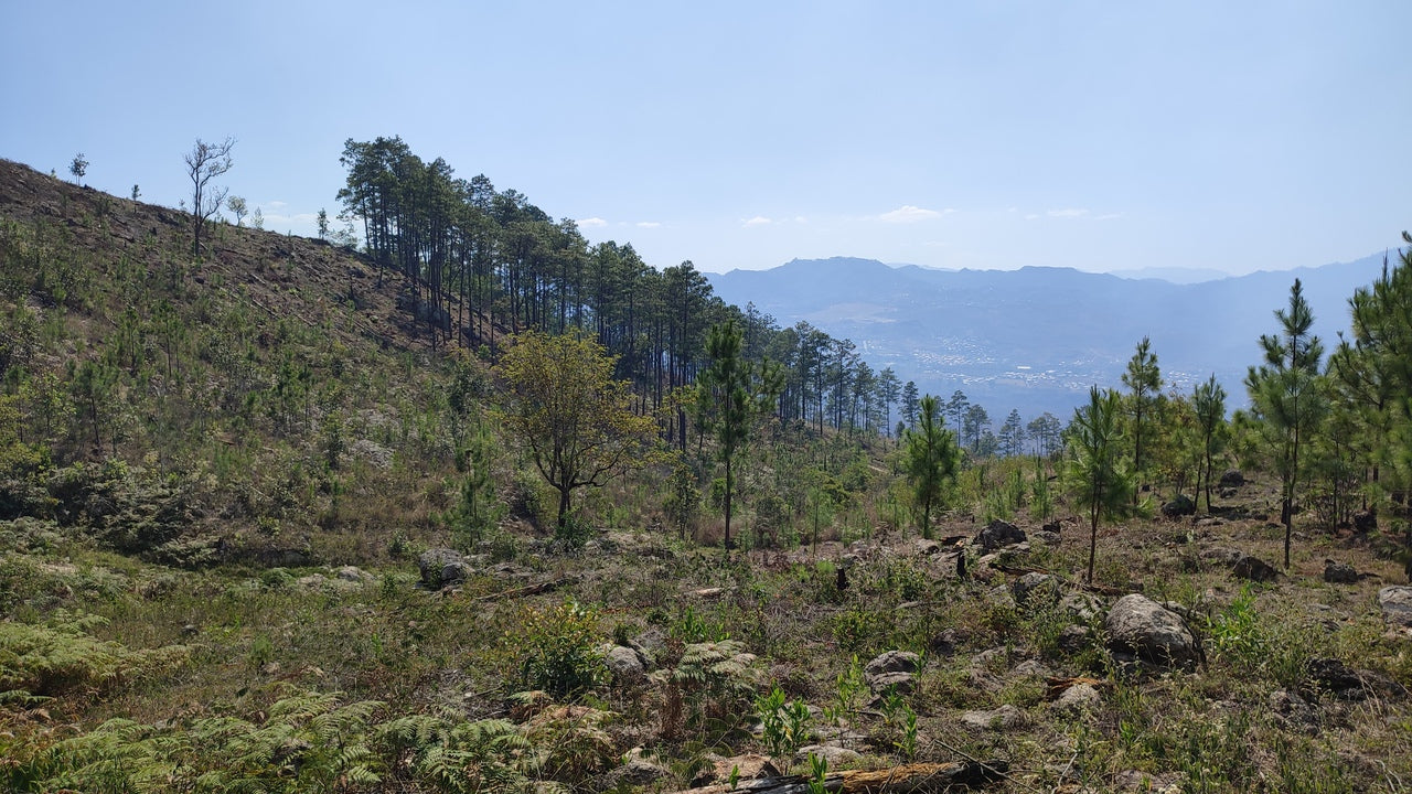 Propiedad V024 (Terreno Urbano) - Residencial Miralago (El Hatillo), Tegucigalpa