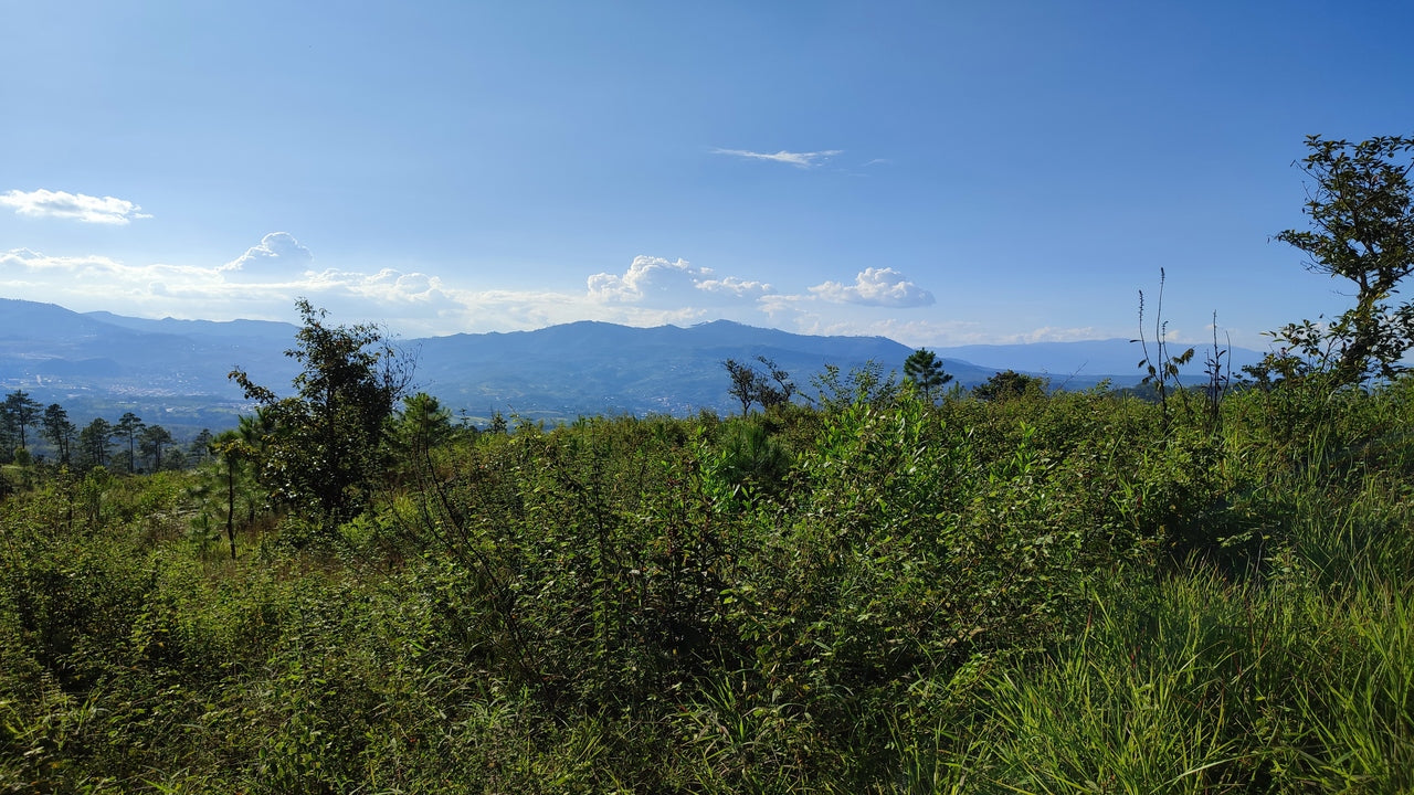 Propiedad V011 (Terreno Urbano) - Residencial Miralago (El Hatillo), Tegucigalpa