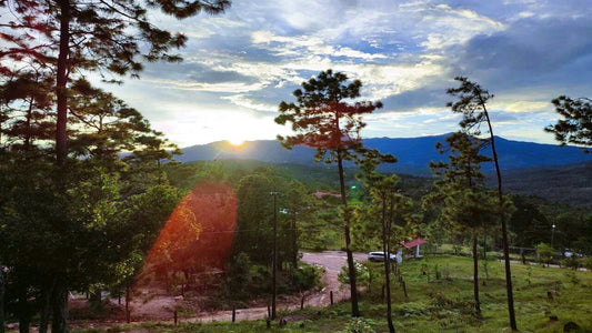 Propiedad V007 (Terreno Rural) - Cerro Grande, Valle de Ángeles
