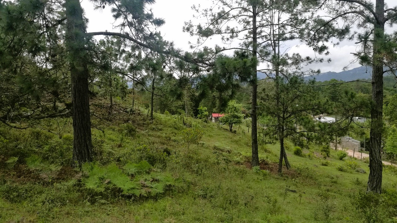 Propiedad V007 (Terreno Rural) - Cerro Grande, Valle de Ángeles
