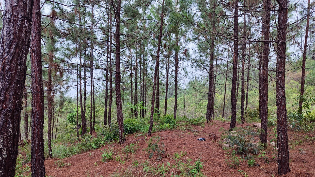 Propiedad V042 (Terreno Urbano) - Residencial Miralago (El Hatillo), Tegucigalpa