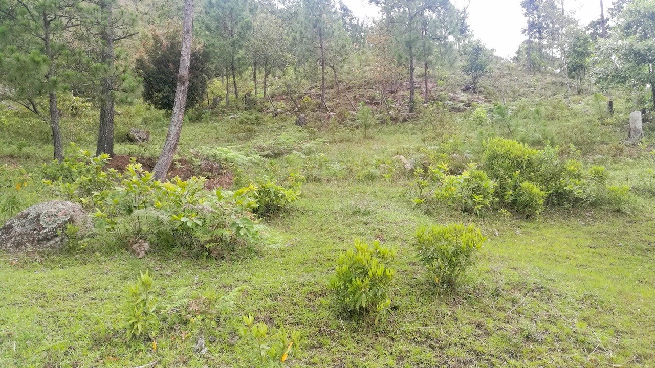 Propiedad V007 (Terreno Rural) - Cerro Grande, Valle de Ángeles