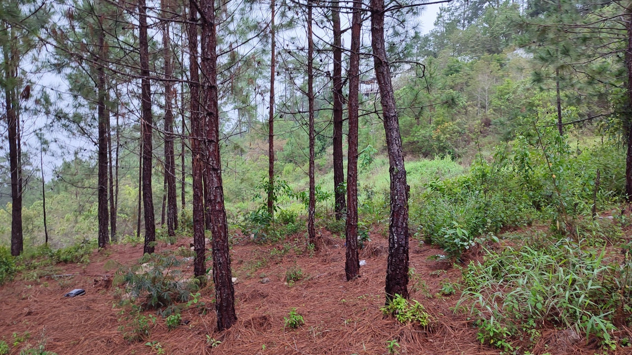 Propiedad V042 (Terreno Urbano) - Residencial Miralago (El Hatillo), Tegucigalpa