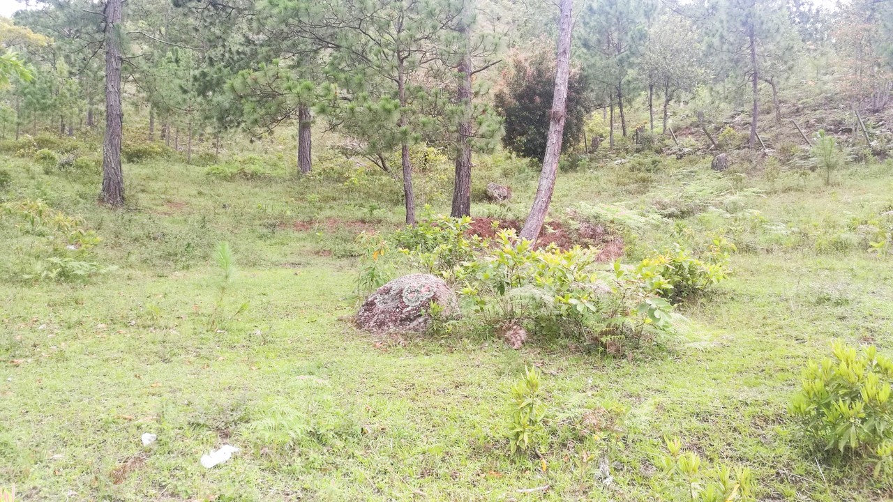 Propiedad V007 (Terreno Rural) - Cerro Grande, Valle de Ángeles