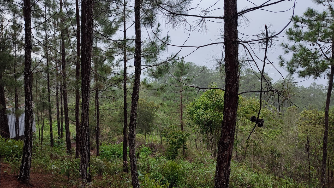 Propiedad V042 (Terreno Urbano) - Residencial Miralago (El Hatillo), Tegucigalpa